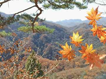 郴州輕軌動(dòng)態(tài)，自然美景的探索之旅啟動(dòng)