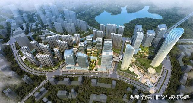 龍崗最新資訊，學(xué)習(xí)變革，自信成就未來之路