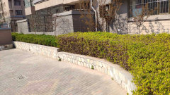 陽光國際城601，家的溫馨與友情深度鏈接的實(shí)景圖展示