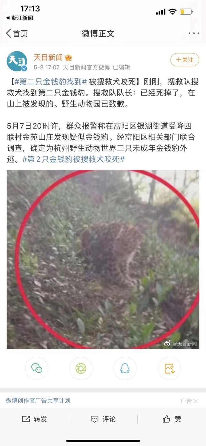 承德新聞快訊，多元視角下的觀察與解讀今日更新