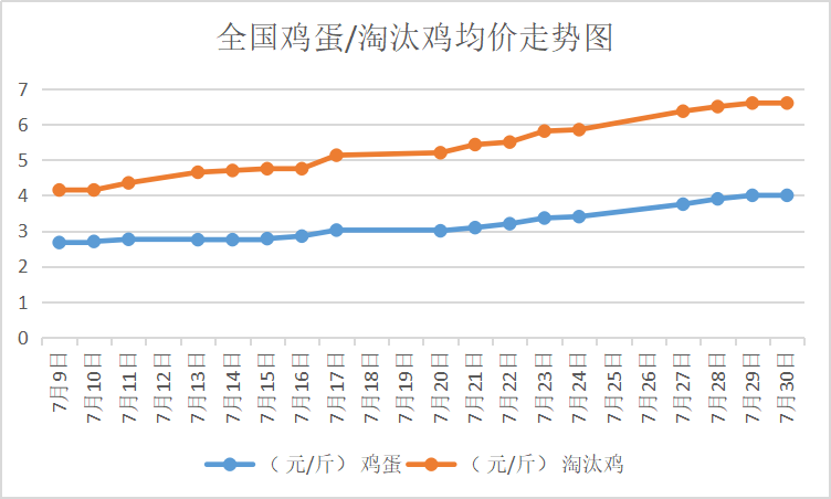 北京大洋路雞蛋今日行情，探尋內(nèi)心平靜的雞蛋之旅