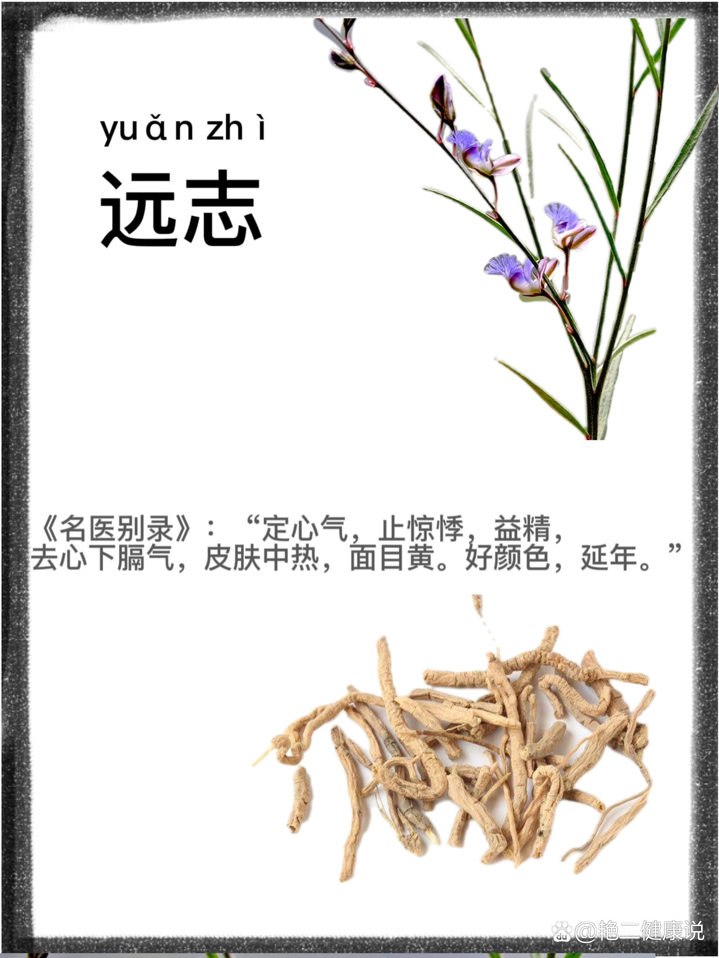 遠(yuǎn)志名最新講道視頻,遠(yuǎn)志名最新講道視頻，探索信仰的深邃世界