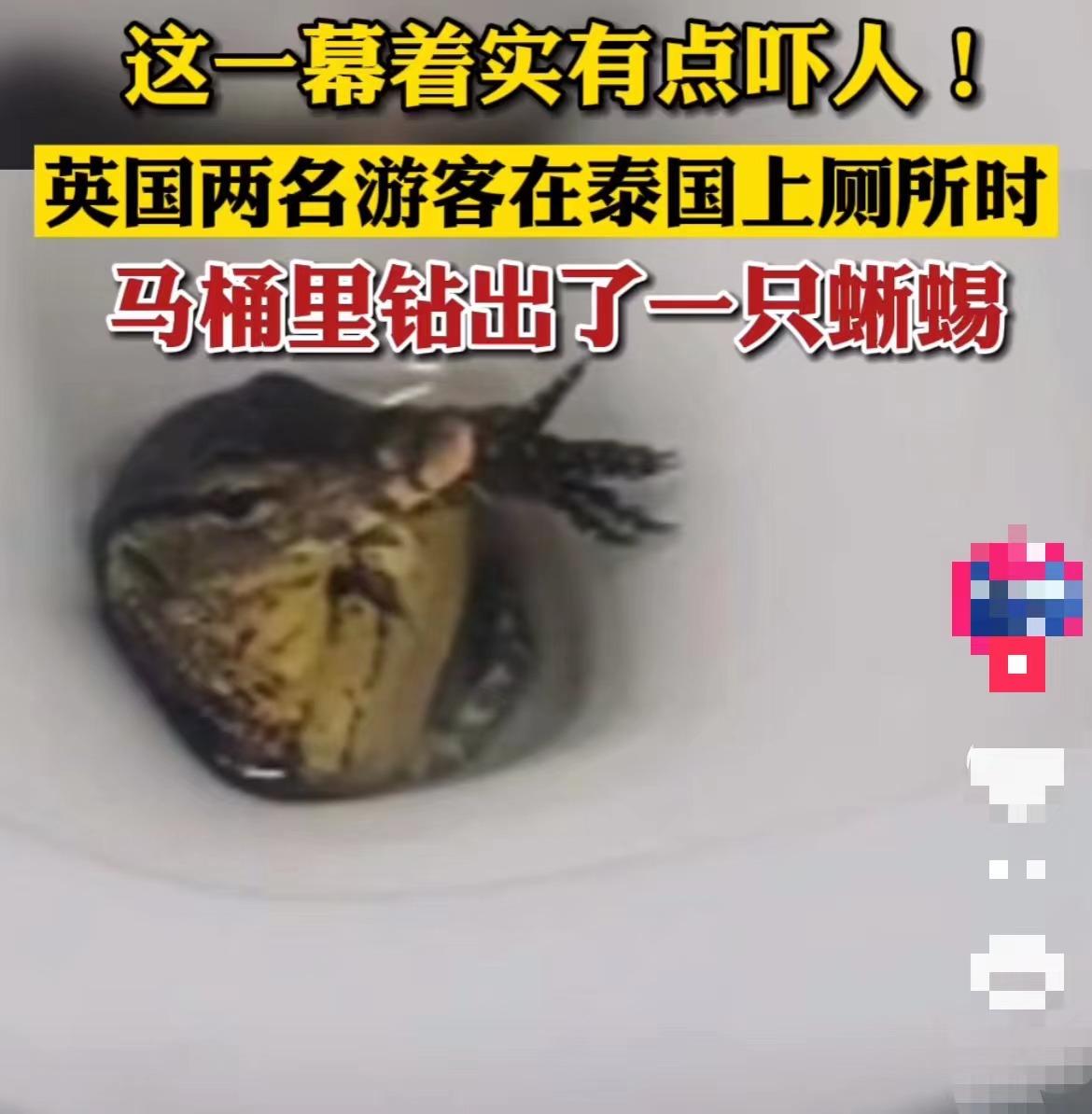 最新蛇咬事件，自然探險之旅遭遇意外危機