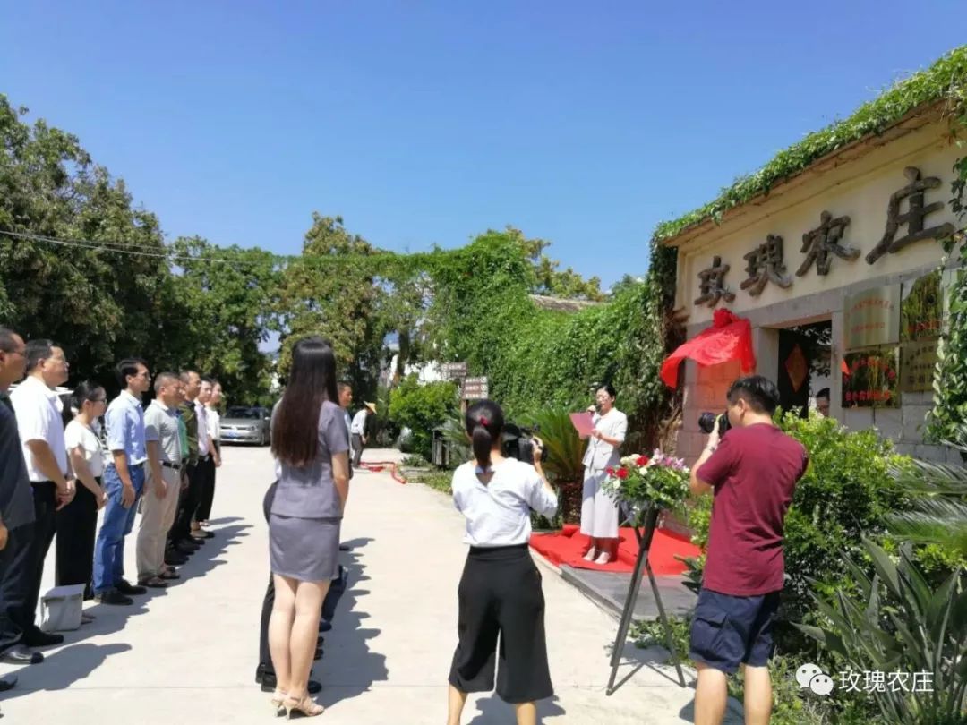 長泰人才網(wǎng)古農(nóng)農(nóng)場最新職位招聘大揭秘，小巷深處的特色小店等你來探索！
