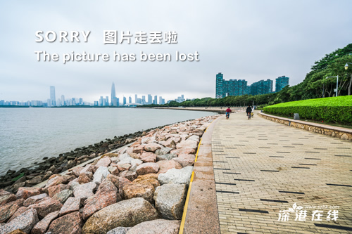 深圳西部公汽最新招聘，行業(yè)趨勢(shì)與個(gè)人選擇的交匯點(diǎn)