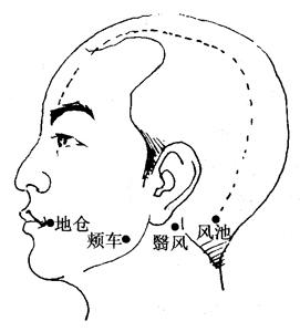 最新經(jīng)絡(luò)療法，開啟健康之旅的秘訣??