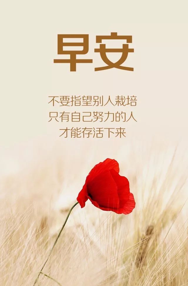 最新早安語錄，巷弄深處獨(dú)特小店喚醒你的清晨時光