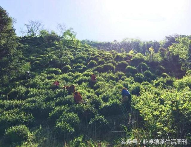 宣城新冠病毒防護(hù)指南，最新防護(hù)策略及應(yīng)對方法