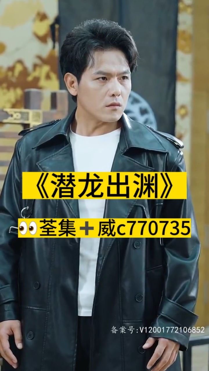 淘龍最新視頻，日常趣事與愛之陪伴