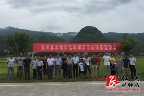 雙牌縣新時(shí)代新面貌，探尋最新發(fā)展與變化