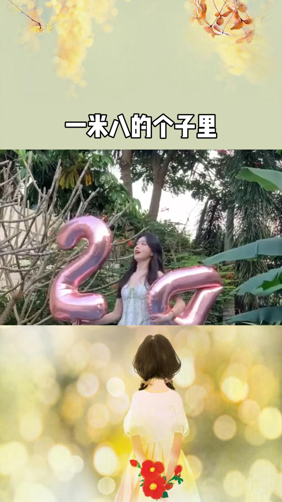 探尋奇幻世界的冒險與奧秘，公主一米八最新章節(jié)