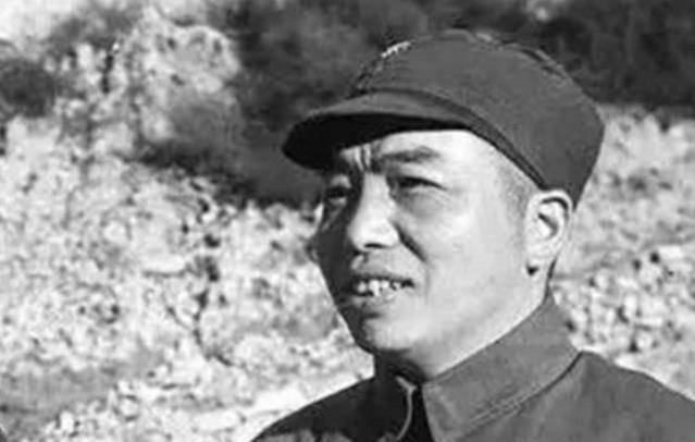 虎將秦衛(wèi)江的最新動態(tài)與日常趣事，溫情紐帶揭秘