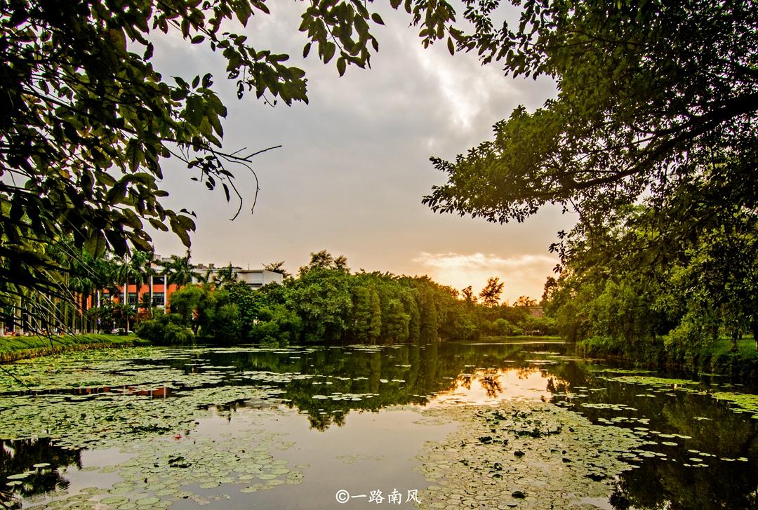 華南海域最新天氣報告，探索自然美景之旅，尋求內心寧靜與平和的旅程