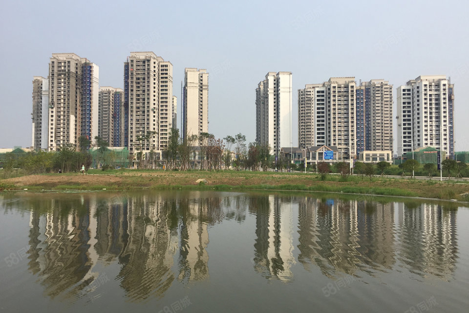 成都天府城邦最新動態(tài)，城市變遷中的共同成長之路